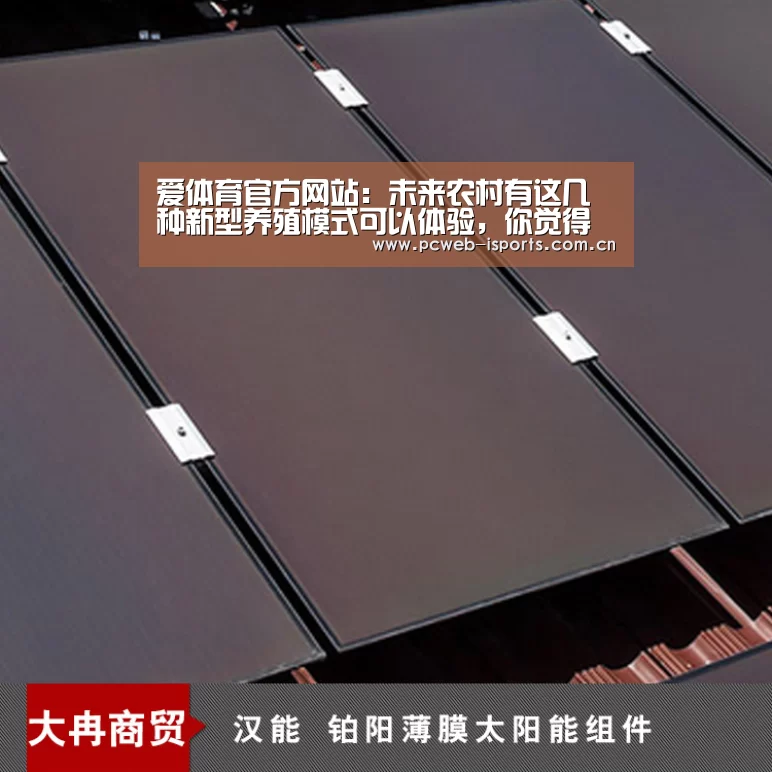 爱体育h5