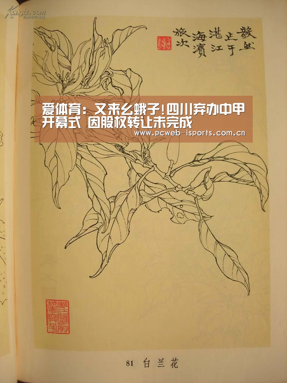 爱体育平台