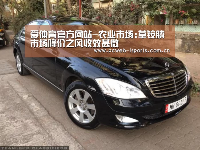 爱体育入口