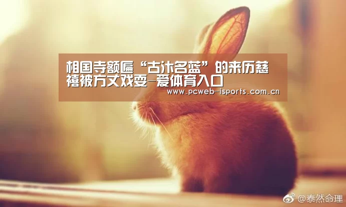 爱体育