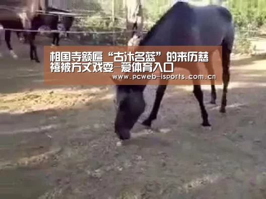 爱体育h5