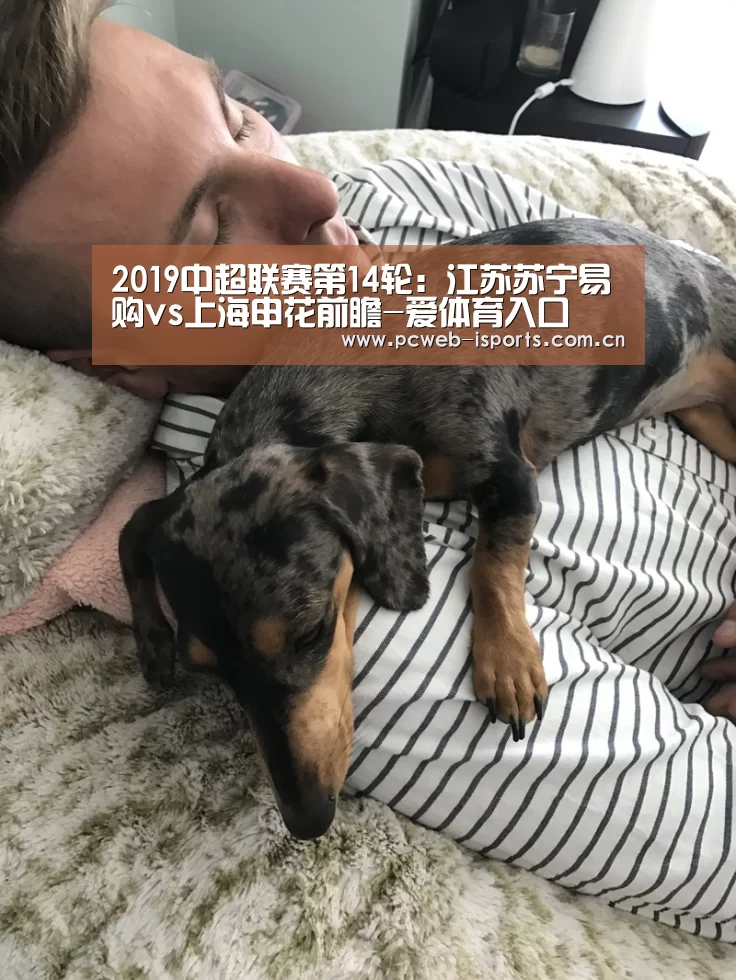 爱体育官方网站
